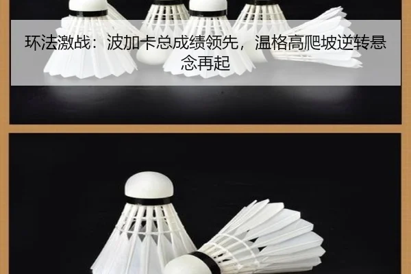 huan-fa-ji-zhan-bo-jia-ka-zong-cheng-ji-ling-xian-wen-ge-gao-pa-po-ni-zhuan-xuan-nian-zai-qi-2-810.jpg