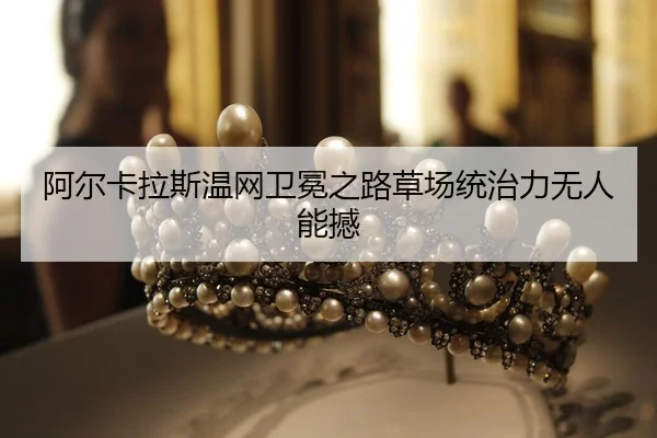 a-er-ka-la-si-wen-wang-wei-mian-zhi-lu-cao-chang-tong-zhi-li-wu-ren-neng-han-2-522.jpg