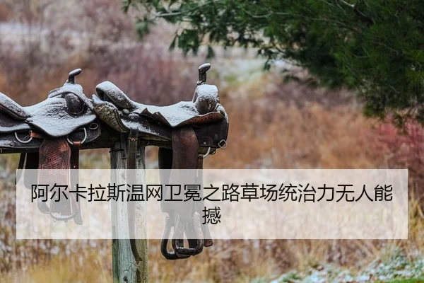 阿尔卡拉斯温网卫冕之路草场统治力无人能撼